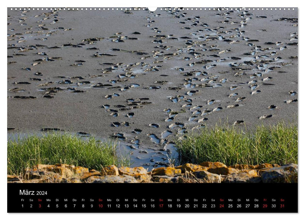 Wattenmeer (CALVENDO Premium Wandkalender 2024)