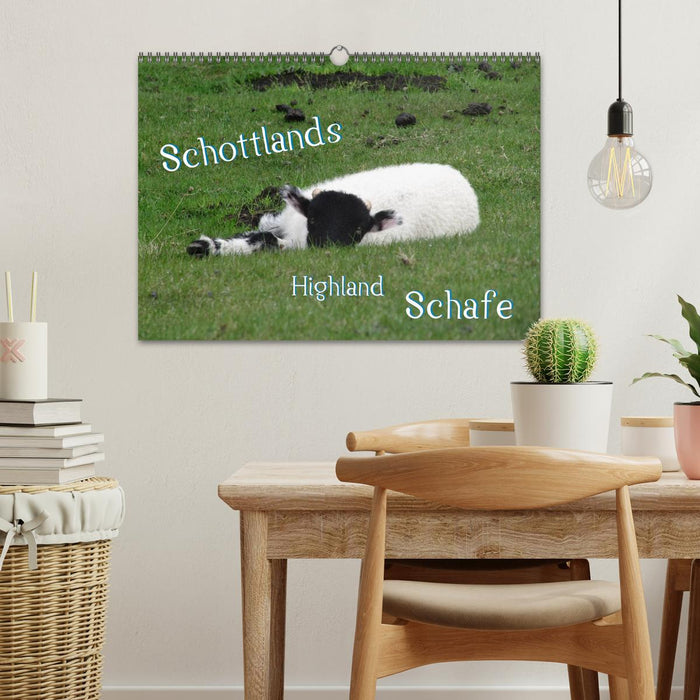 Mouton des Highlands d'Écosse (Calvendo mural 2024) 