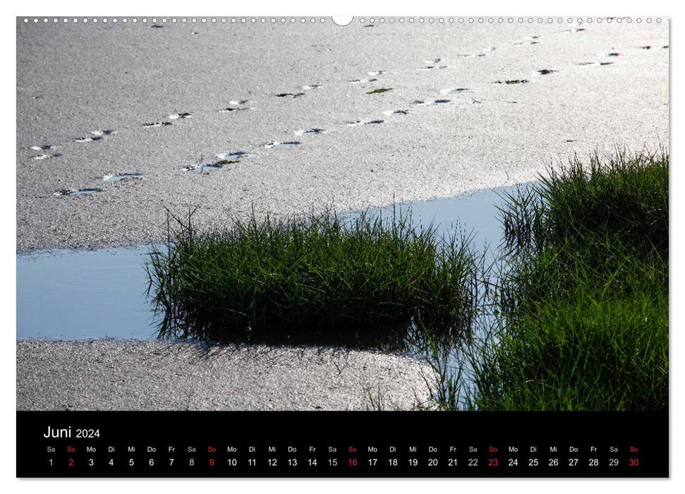 Wattenmeer (CALVENDO Wandkalender 2024)