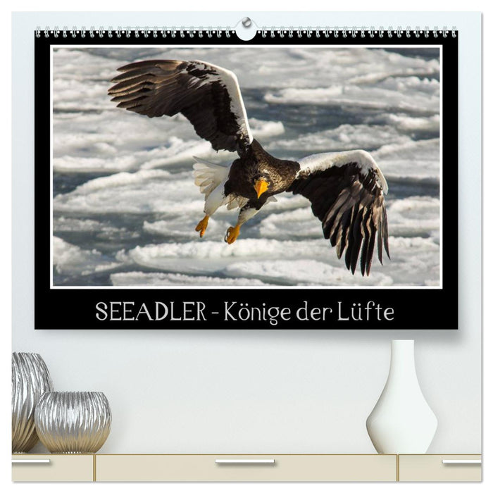 Seeadler - Könige der Lüfte (CALVENDO Premium Wandkalender 2024)