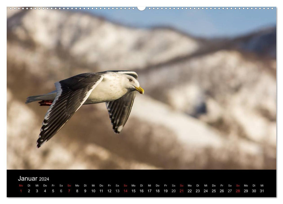 Seagulls - Masters of the Air (CALVENDO Wall Calendar 2024) 