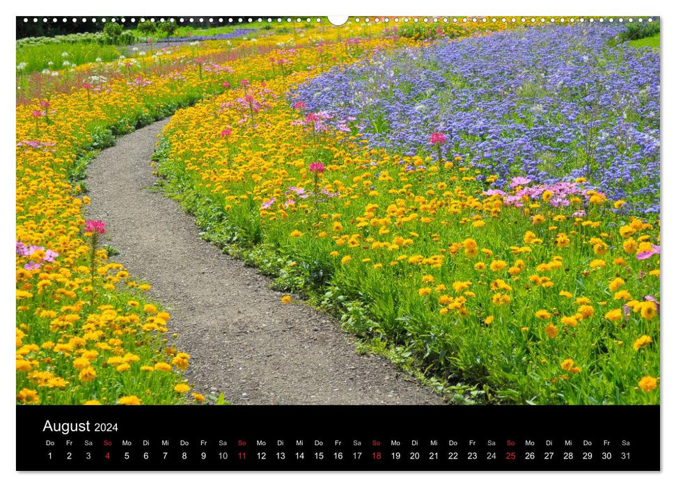 Paths 2024 (CALVENDO wall calendar 2024) 