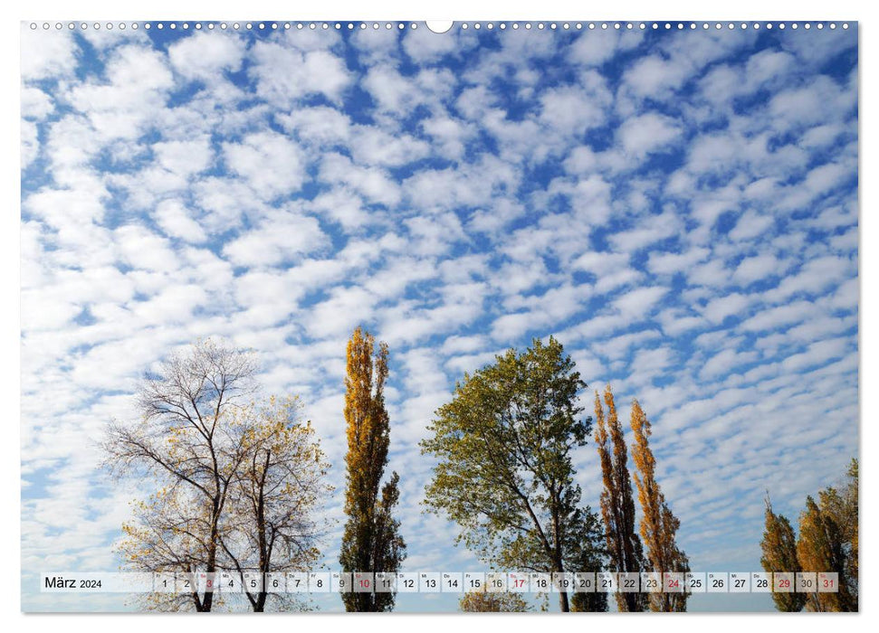 Cloud 7 (CALVENDO Premium Wall Calendar 2024) 