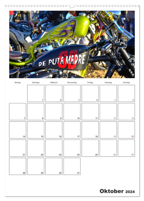 Best of Harley-Davidson Custom Style 2024 (CALVENDO Premium Wall Calendar 2024) 