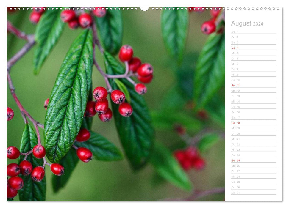 Natural colors (CALVENDO wall calendar 2024) 