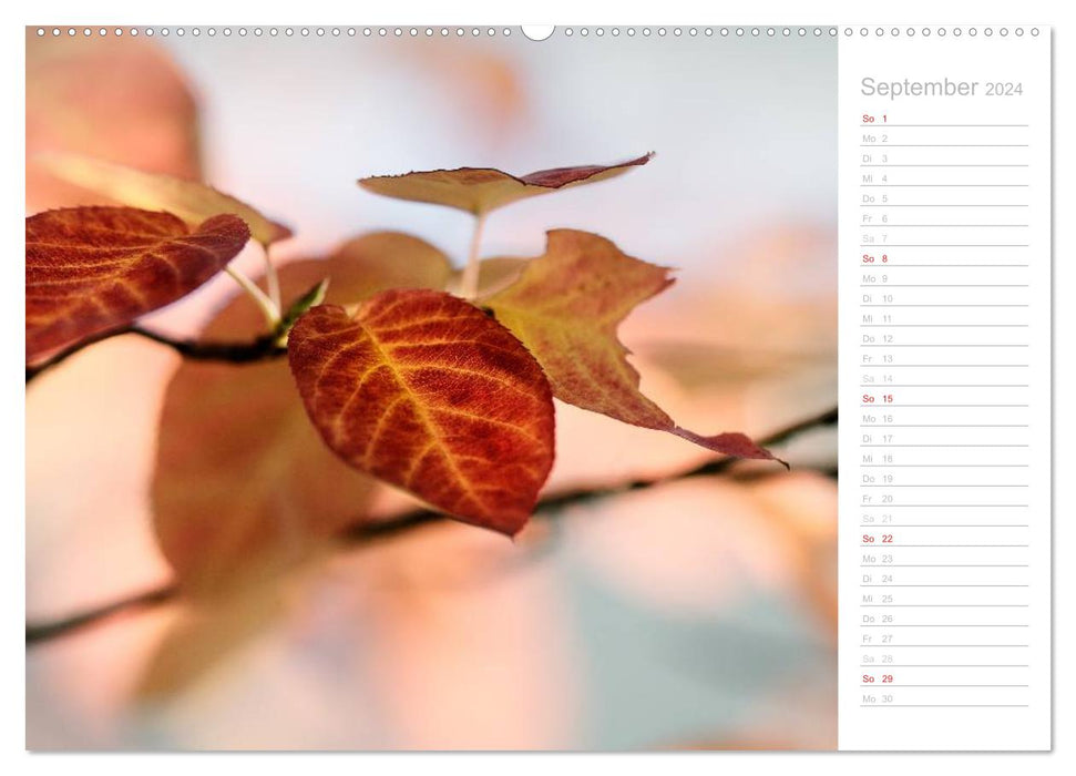 Naturfarben (CALVENDO Wandkalender 2024)