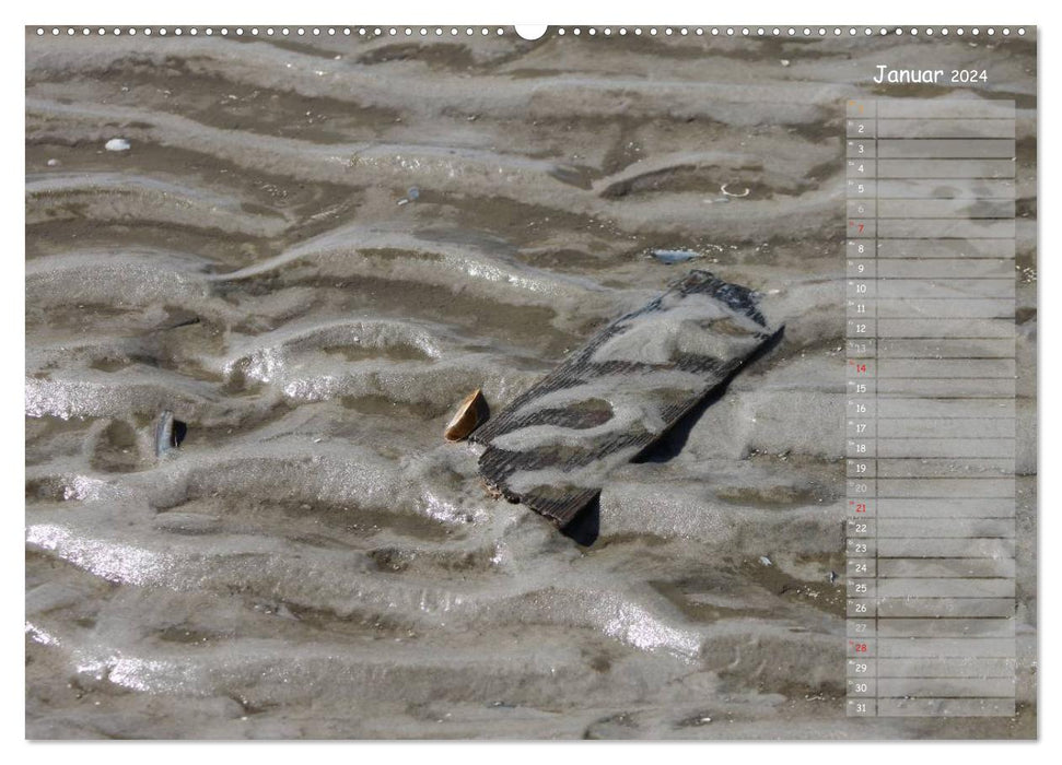 Strandspaziergang / Geburtstagskalender (CALVENDO Wandkalender 2024)