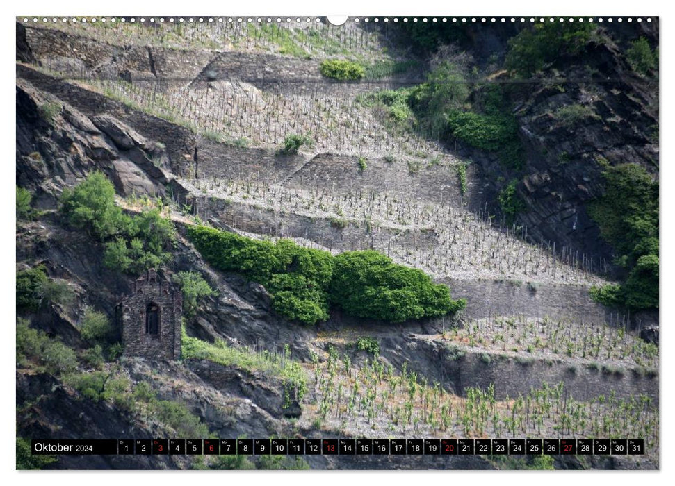 Oberwesel am Rhein (CALVENDO Wandkalender 2024)