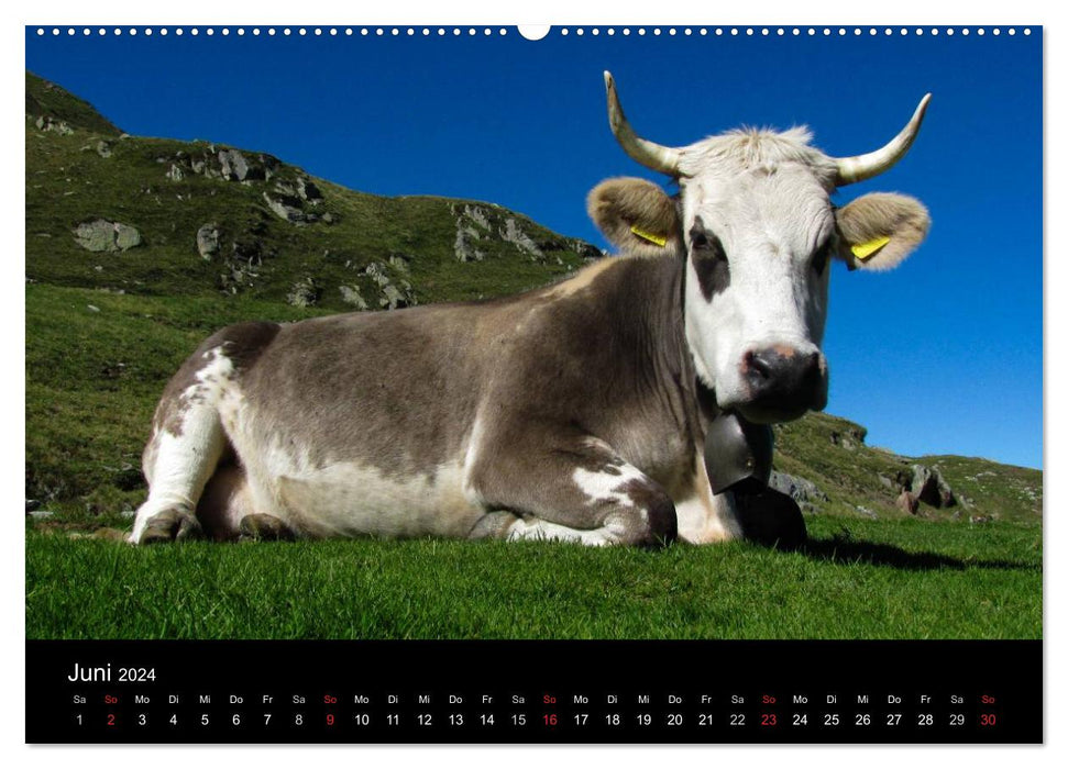 Grande Traversata delle Alpi - Hiking on the GTA (CALVENDO Premium Wall Calendar 2024) 