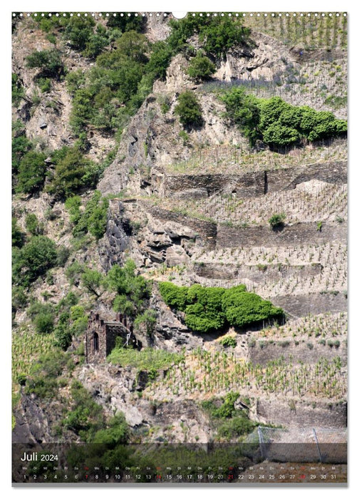 Oberwesel am Rhein (calendrier mural CALVENDO 2024) 