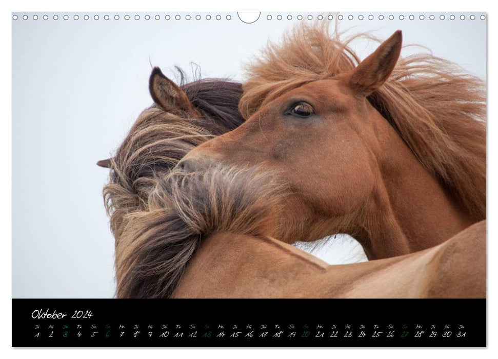 Personnage têtes de chevaux islandais (calendrier mural CALVENDO 2024) 