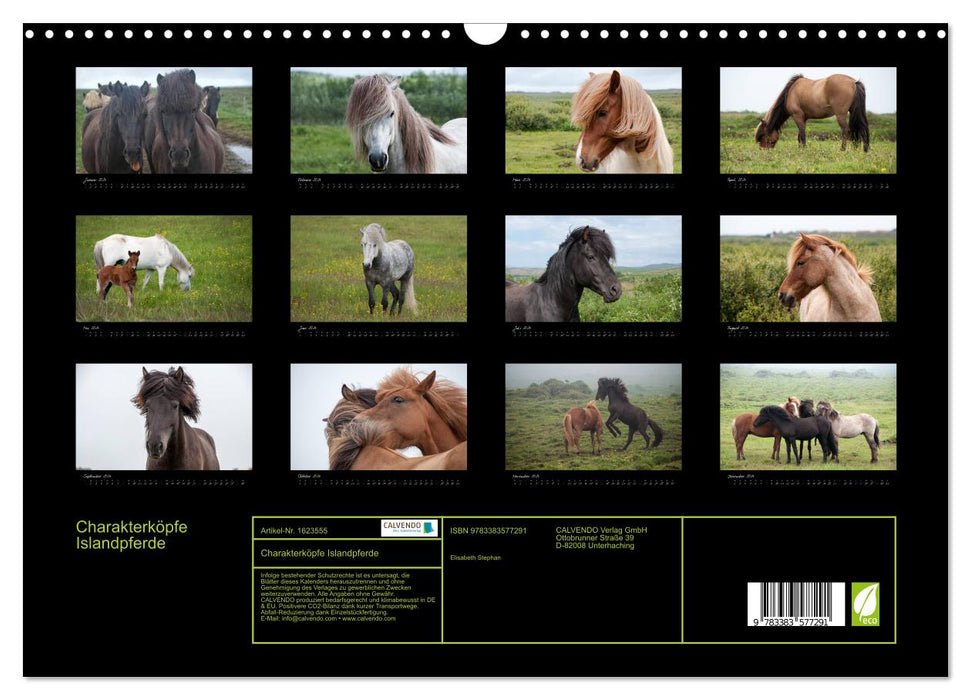 Character heads Icelandic horses (CALVENDO wall calendar 2024) 