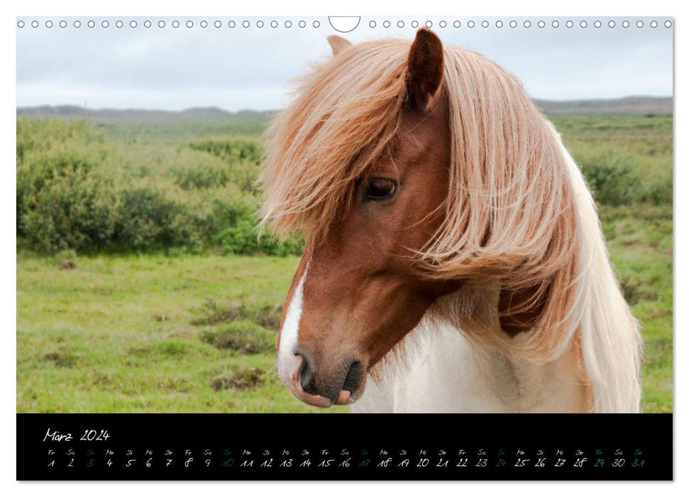 Personnage têtes de chevaux islandais (calendrier mural CALVENDO 2024) 