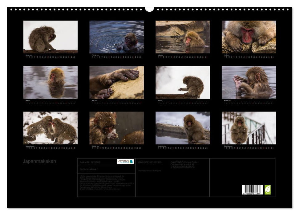 Japanese macaques (CALVENDO wall calendar 2024) 