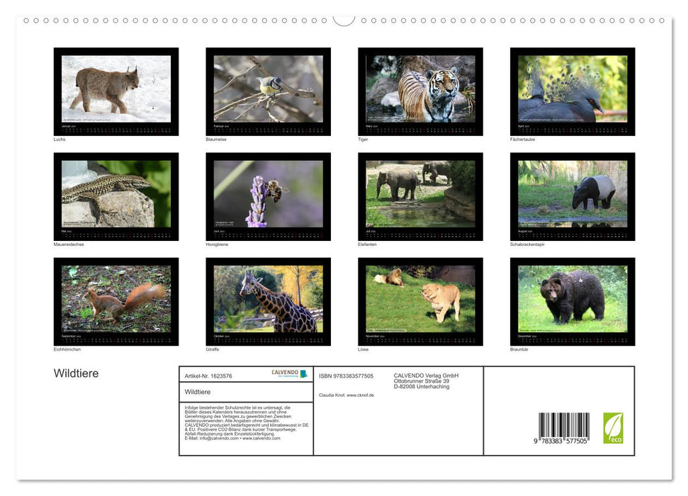 Wildtiere (CALVENDO Premium Wandkalender 2024)