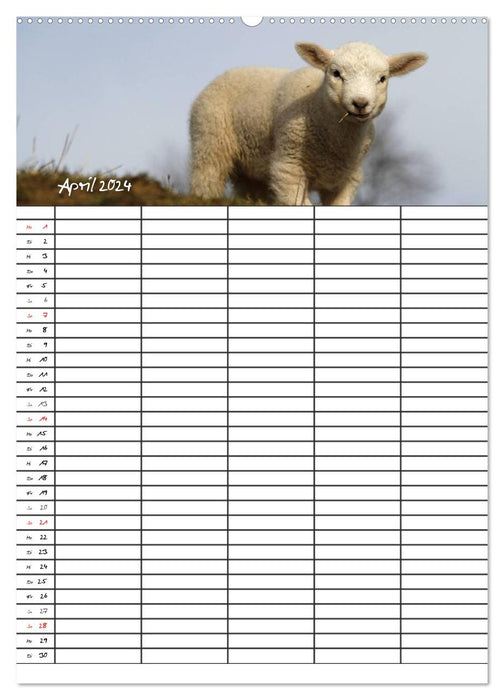 Agenda familial - Sylt (Calvendo Premium Wall Calendar 2024) 