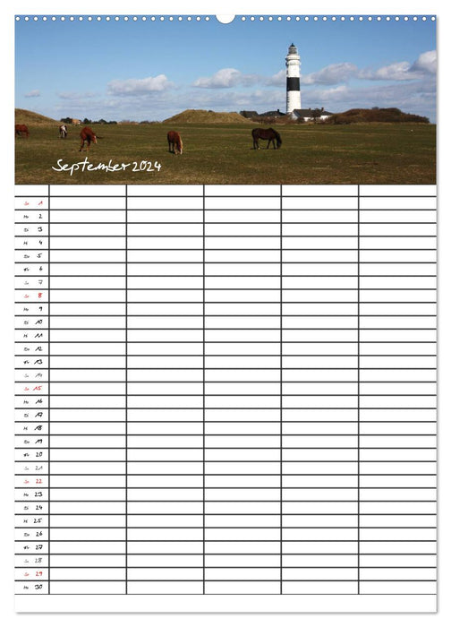 Family Planner - Sylt (CALVENDO Premium Wall Calendar 2024) 