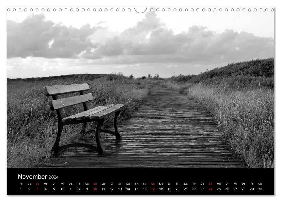 Black and white moments (CALVENDO wall calendar 2024) 
