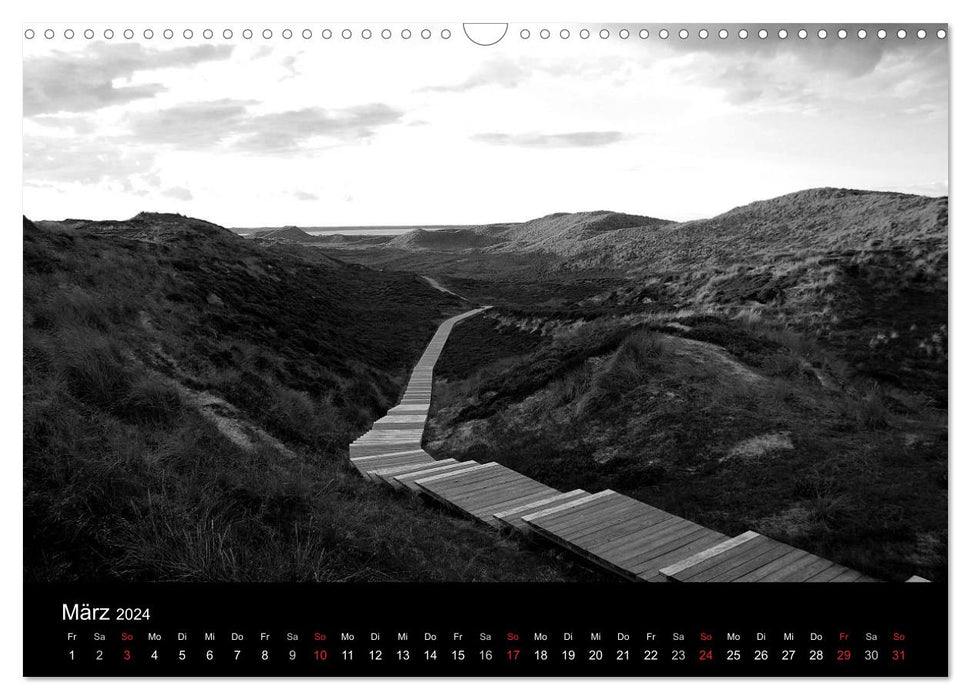 Black and white moments (CALVENDO wall calendar 2024) 