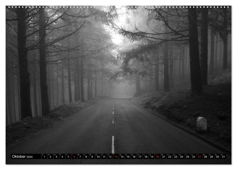Silent moments in black and white (CALVENDO Premium Wall Calendar 2024) 