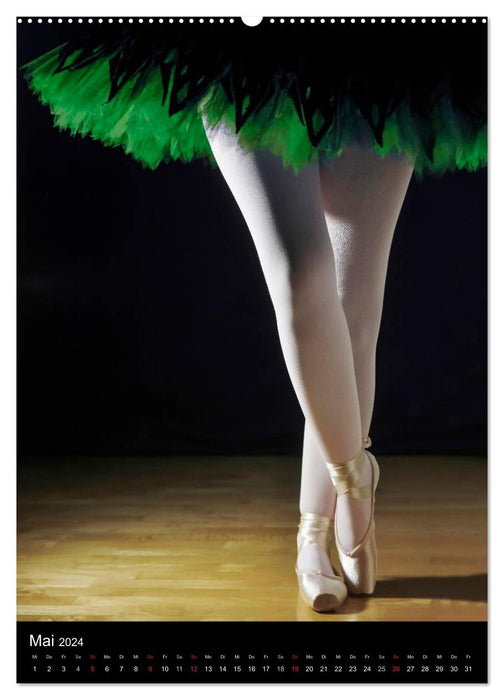 Ballet (CH version) (CALVENDO Premium Wall Calendar 2024) 