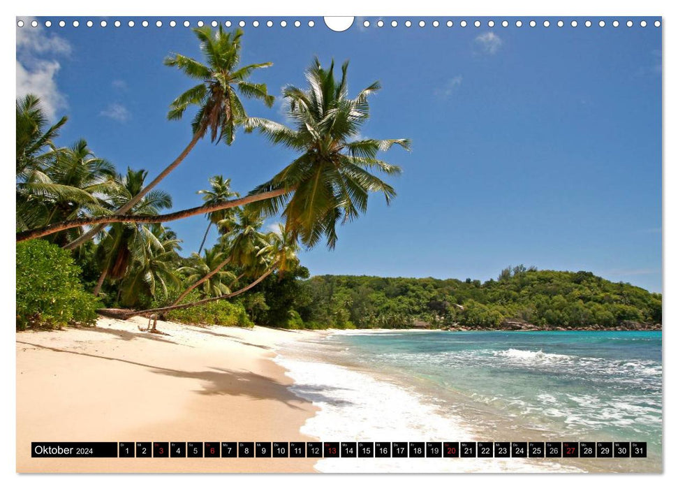 Seychelles (Calendrier mural CALVENDO 2024) 