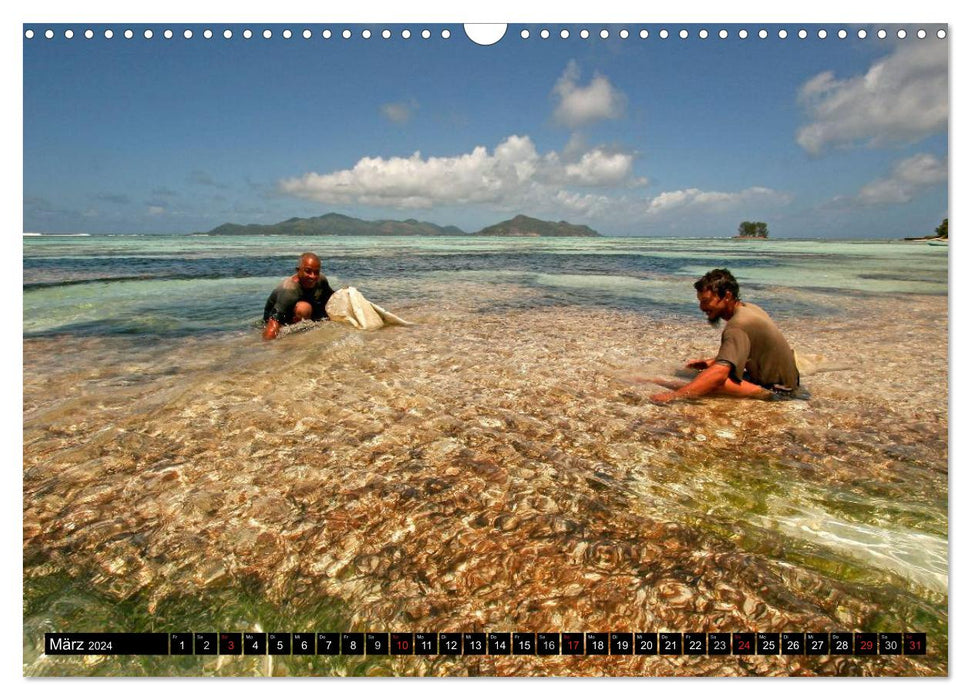 Seychelles (Calendrier mural CALVENDO 2024) 