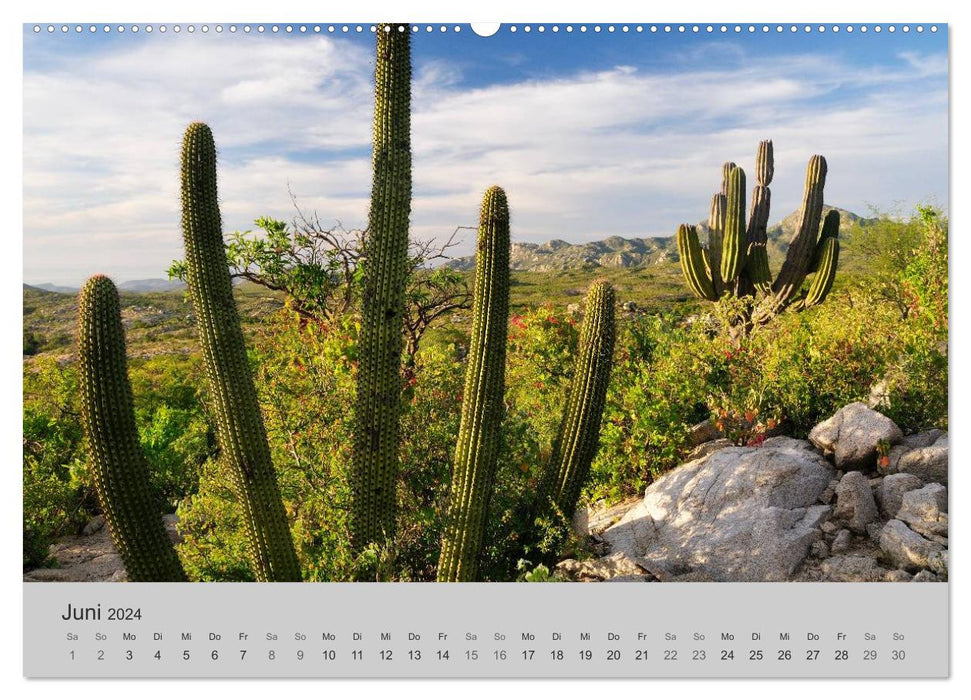 DREAM LANDSCAPES Christian Heeb (CALVENDO wall calendar 2024) 