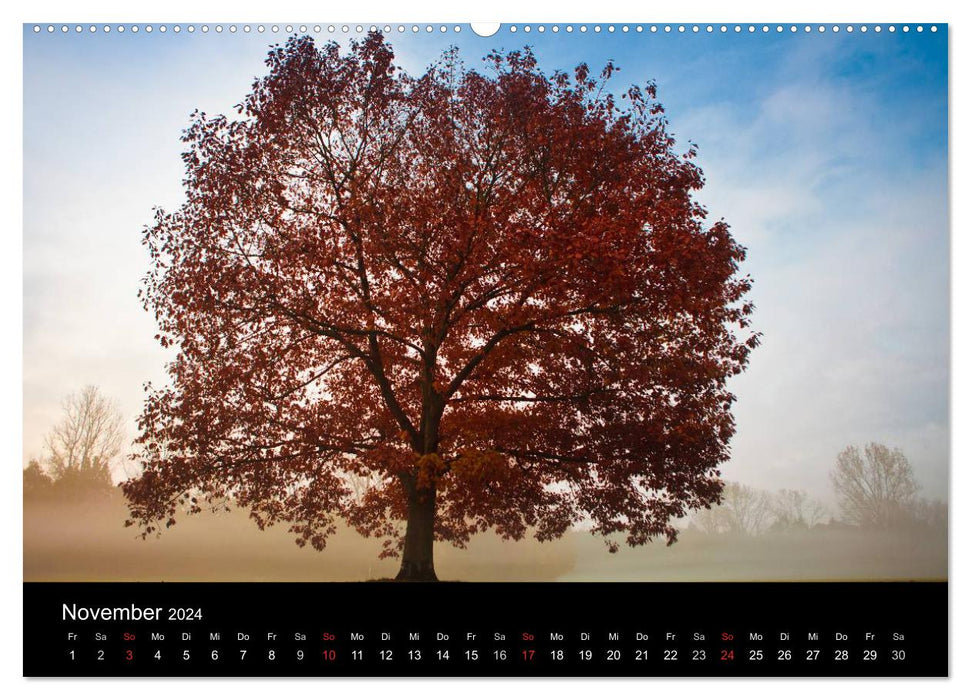 Farben der Natur (CALVENDO Premium Wandkalender 2024)