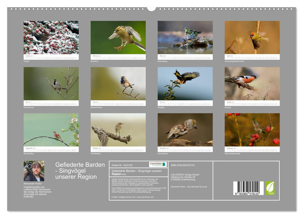 Gefiederte Barden - Singvögel unserer Region (CALVENDO Premium Wandkalender 2024)
