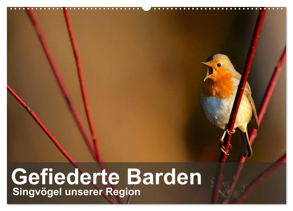 Bardes à plumes - oiseaux chanteurs de notre région (Calendrier mural CALVENDO 2024) 