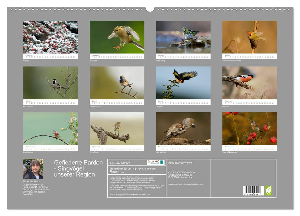 Bardes à plumes - oiseaux chanteurs de notre région (Calendrier mural CALVENDO 2024) 