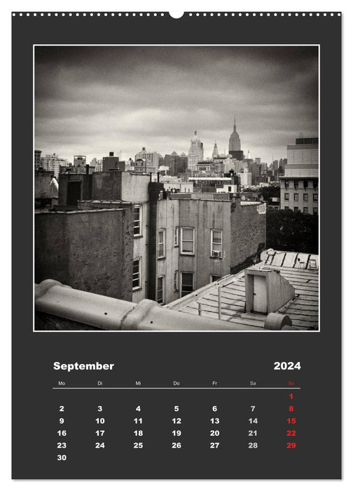 New York City - Portrait of a City (CALVENDO Premium Wall Calendar 2024) 