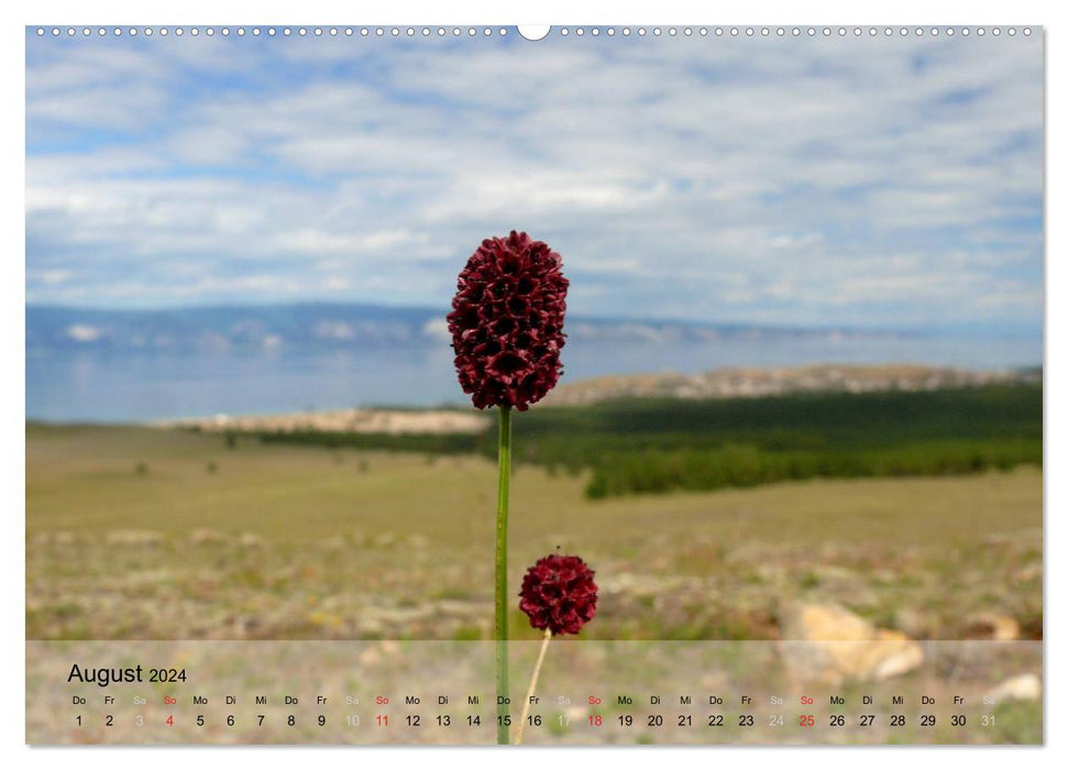 Olkhon - Île du lac Baïkal (Calendrier mural CALVENDO 2024) 