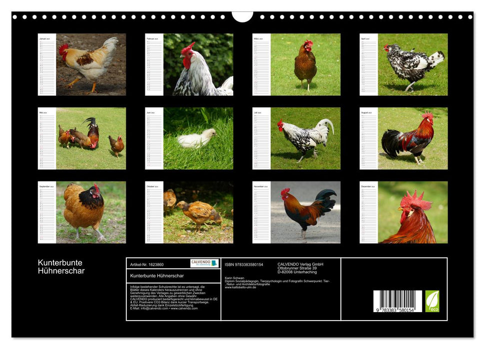 Troupeau de poules colorées (calendrier mural CALVENDO 2024) 