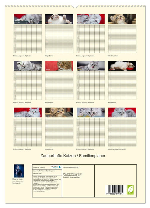 Chats magiques - Agenda familial (Calvendo Premium Wall Calendar 2024) 