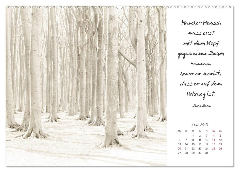 Calendar sayings (CALVENDO wall calendar 2024) 