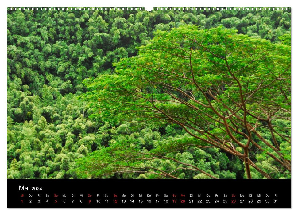 L'Inconnu HAWAII (calendrier mural CALVENDO 2024) 