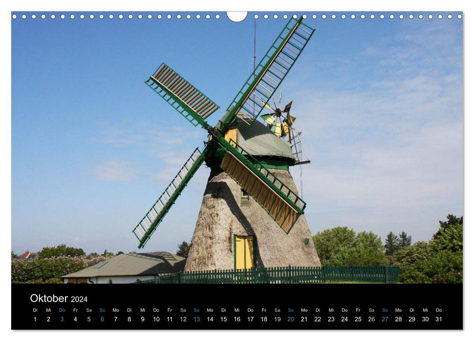 The island of Amrum (CALVENDO wall calendar 2024) 