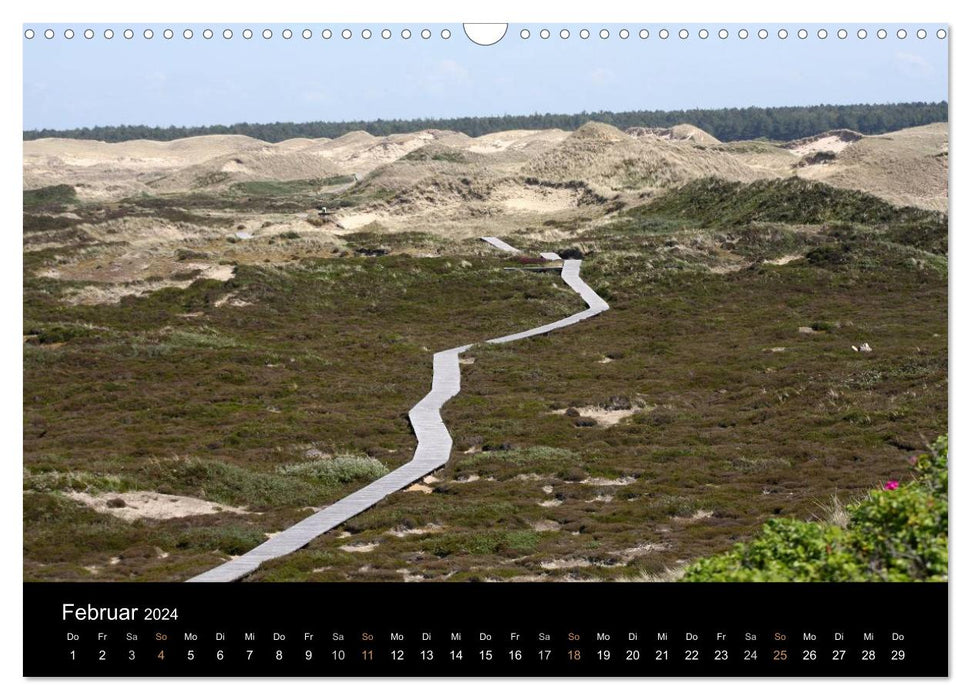 The island of Amrum (CALVENDO wall calendar 2024) 