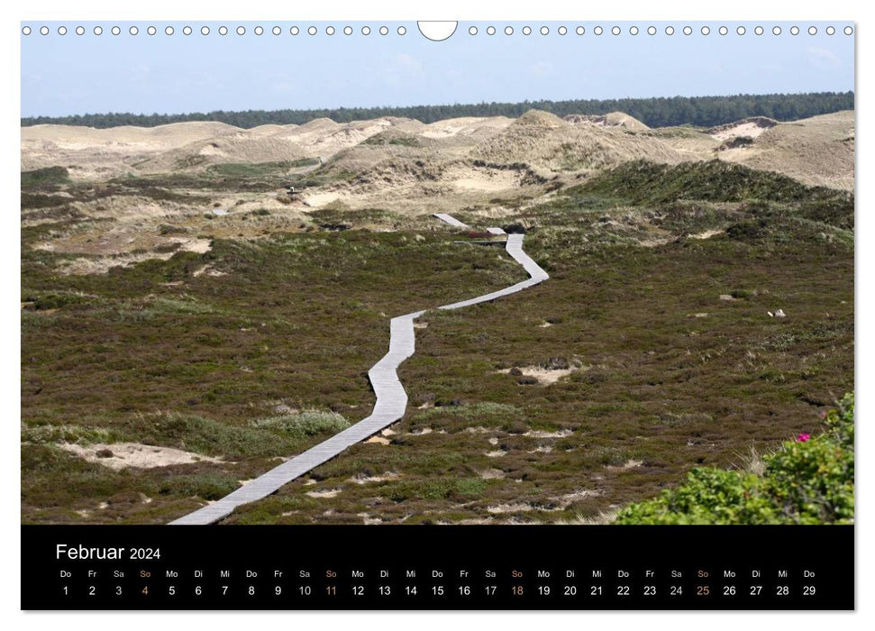 L'île d'Amrum (Calendrier mural CALVENDO 2024)