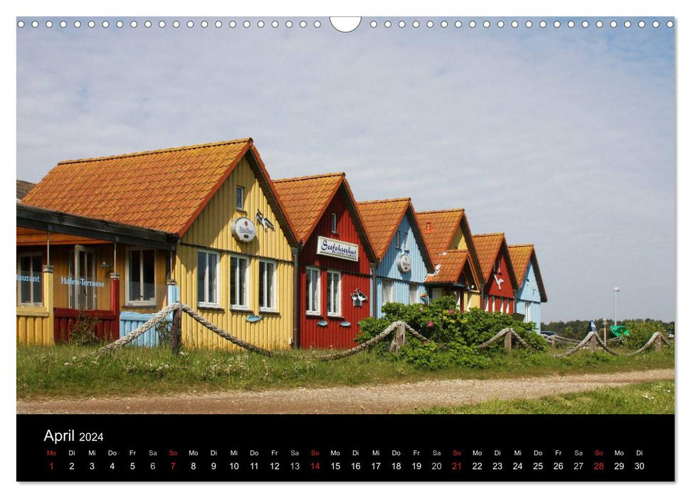 L'île d'Amrum (Calendrier mural CALVENDO 2024)