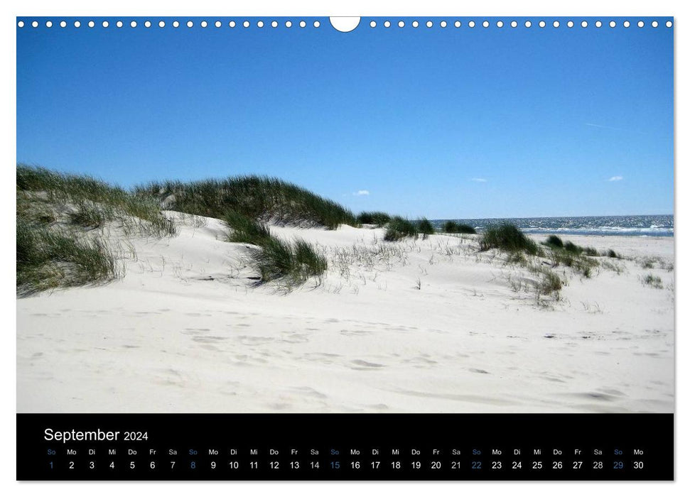 L'île d'Amrum (Calendrier mural CALVENDO 2024)