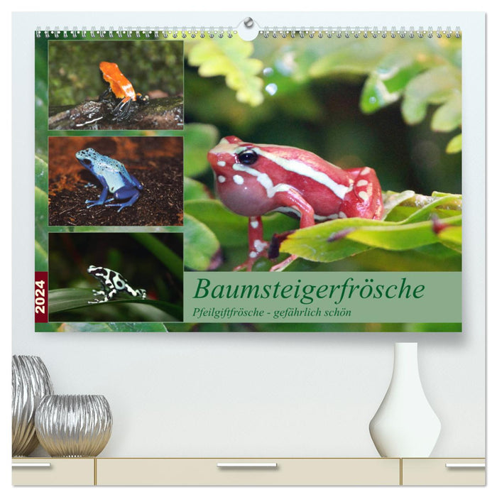 Tree climbing frogs. Poison dart frogs - dangerously beautiful (CALVENDO Premium Wall Calendar 2024) 