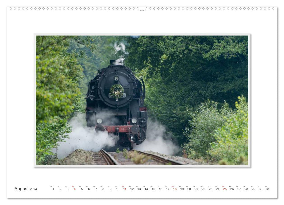 Emotional moments: The steam locomotive type 528134-0. (CALVENDO wall calendar 2024) 