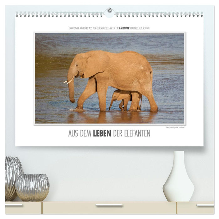 Moments d'émotion : De la vie des éléphants. (Calendrier mural CALVENDO Premium 2024) 