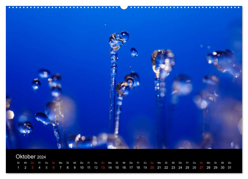 Water drops (CALVENDO Premium wall calendar 2024) 