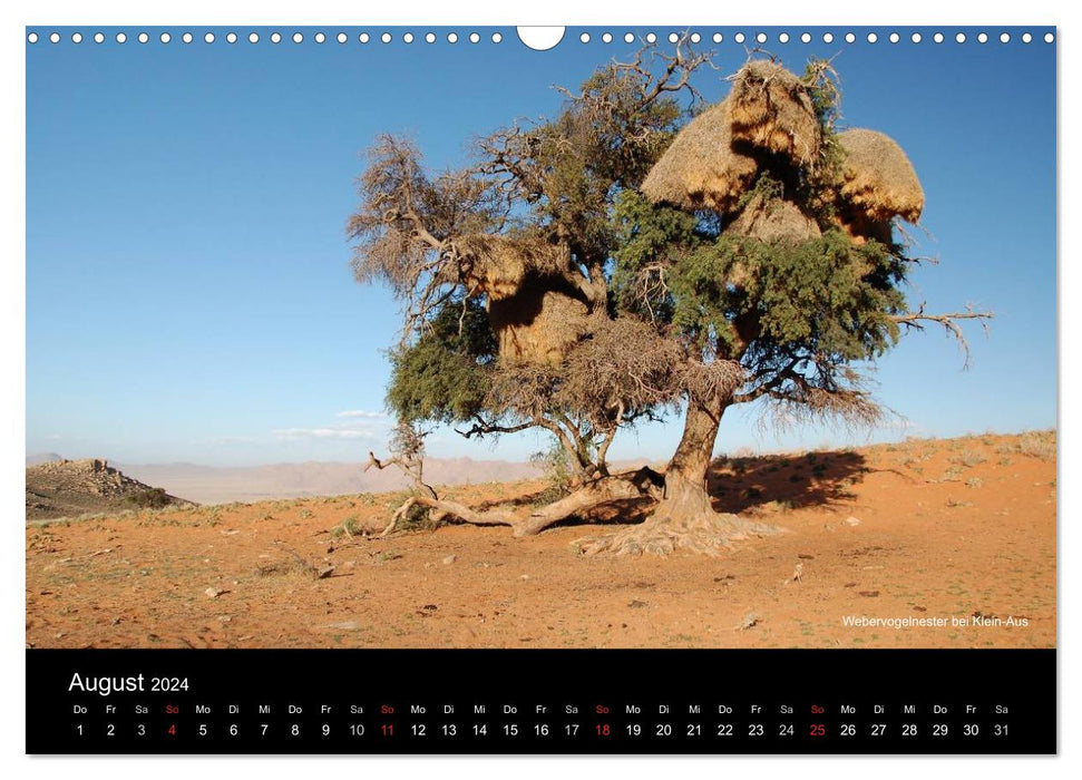 Namibia (CALVENDO Wandkalender 2024)