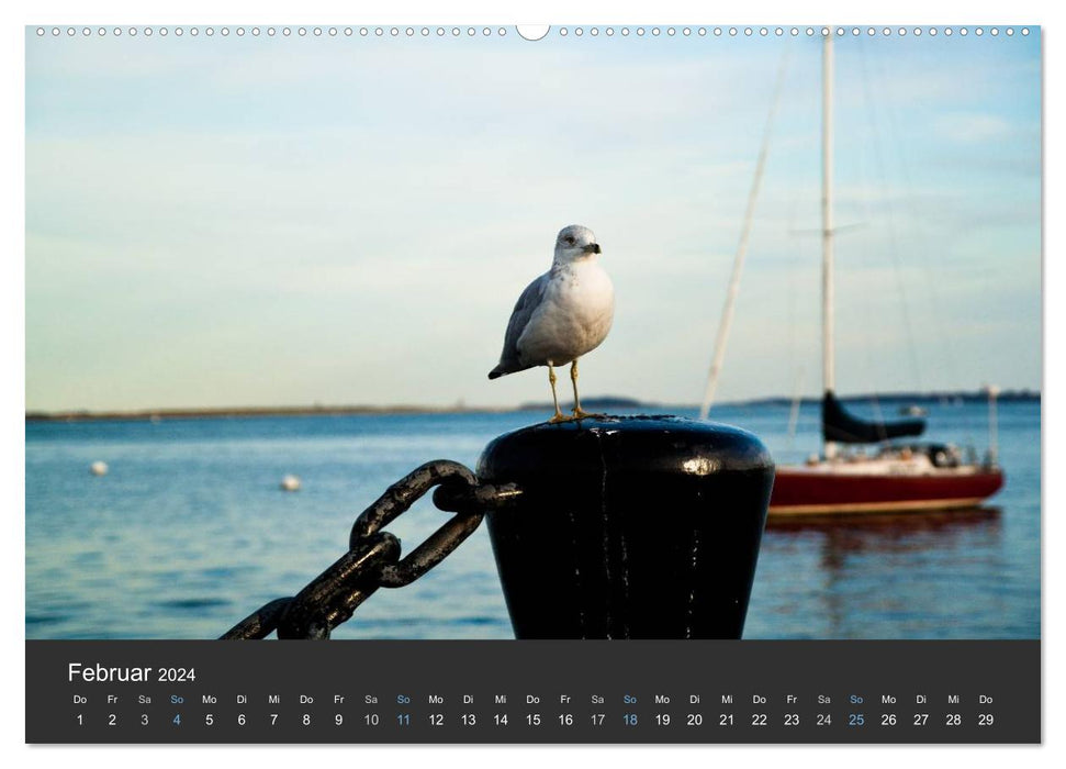 Autumn and Coast in Boston &amp; New England (CALVENDO Premium Wall Calendar 2024) 