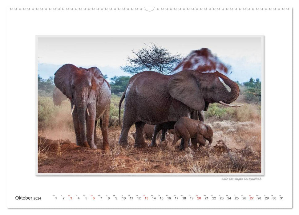 Emotionale Momente: Aus dem Leben der Elefanten. (CALVENDO Wandkalender 2024)
